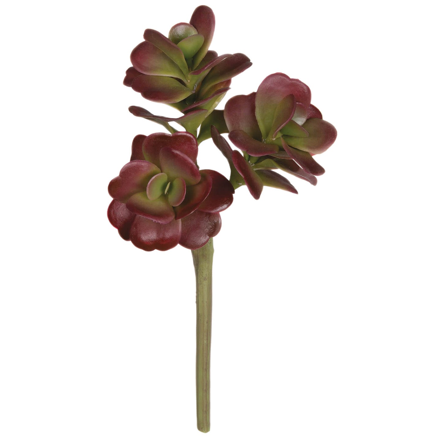 Red Faux Succulent